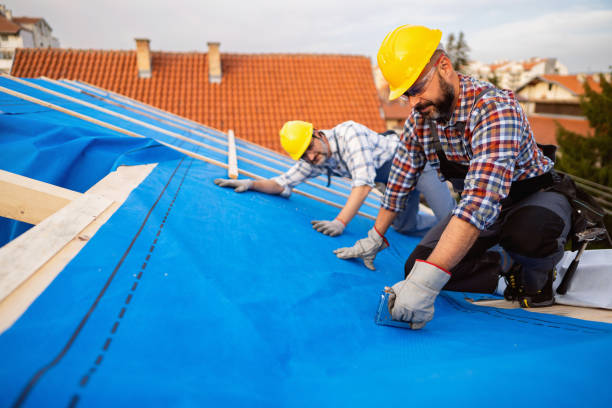 Best Emergency Roof Repair  in Nelsonville, OH