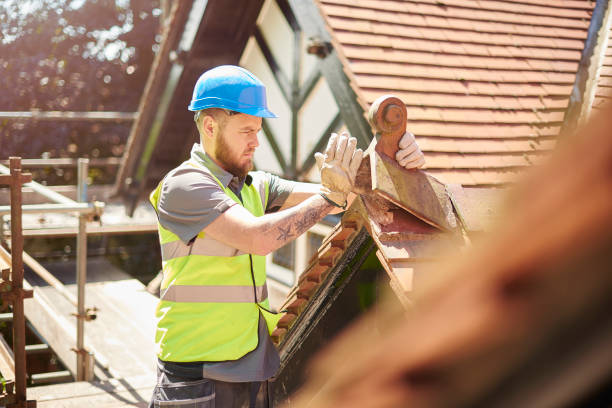 Best New Roof Installation  in Nelsonville, OH