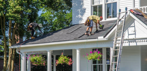 Best Roof Maintenance Services  in Nelsonville, OH