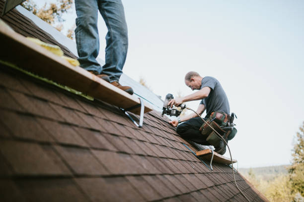 Best Metal Roofing Contractor  in Nelsonville, OH